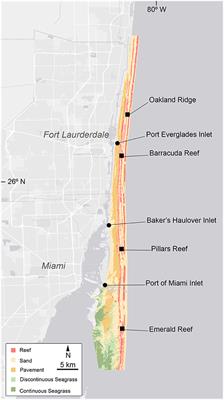 Seasonal Carbonate Chemistry Dynamics on Southeast Florida Coral Reefs: Localized Acidification Hotspots From Navigational Inlets